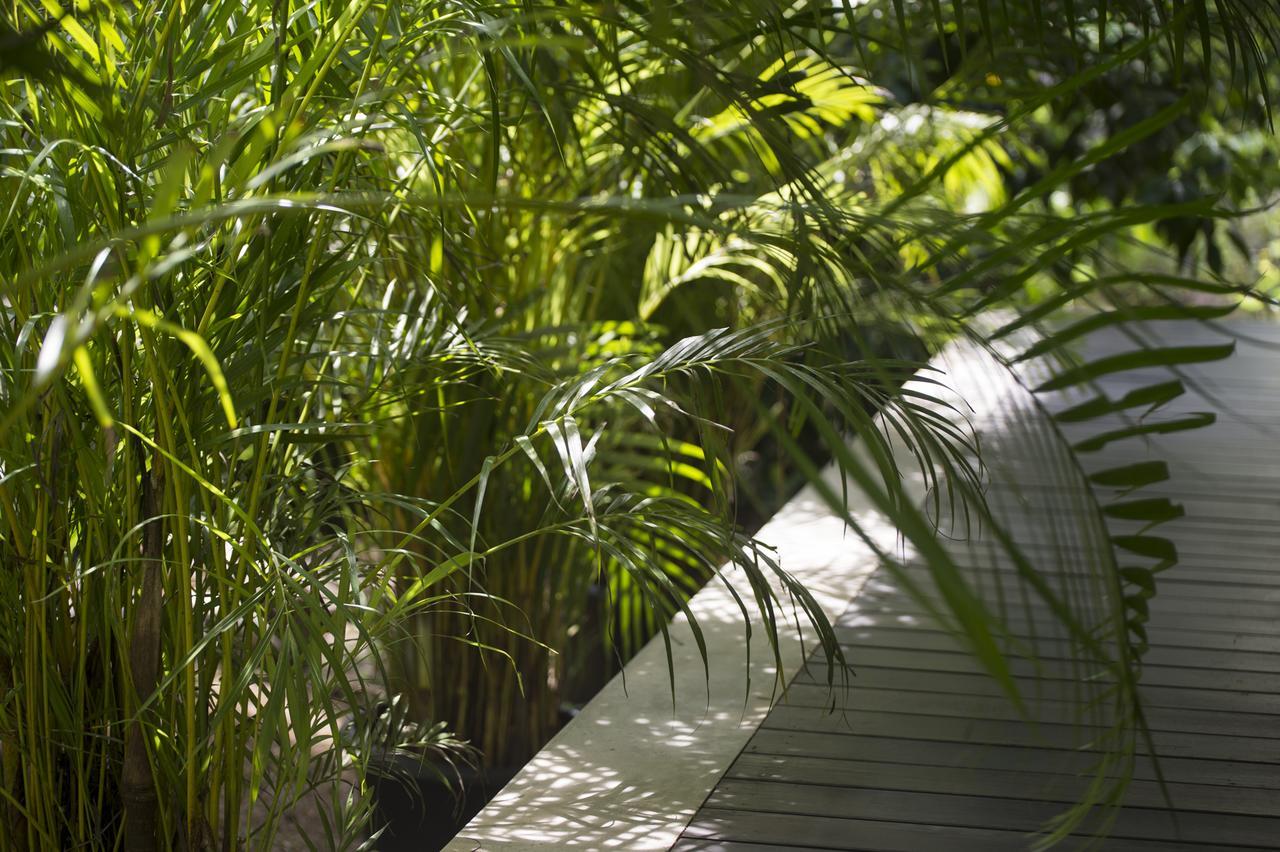אונה ואטונה Kaju Green Eco Lodges מראה חיצוני תמונה